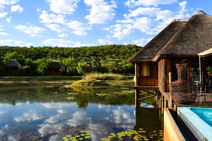 Discover the tranquil bush setting at Intundla Game Lodge and Bush Spa