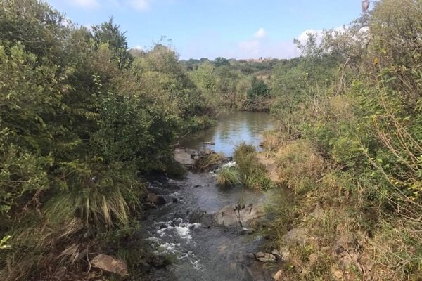 See the Zebra at Faerie Glen Nature Reserve