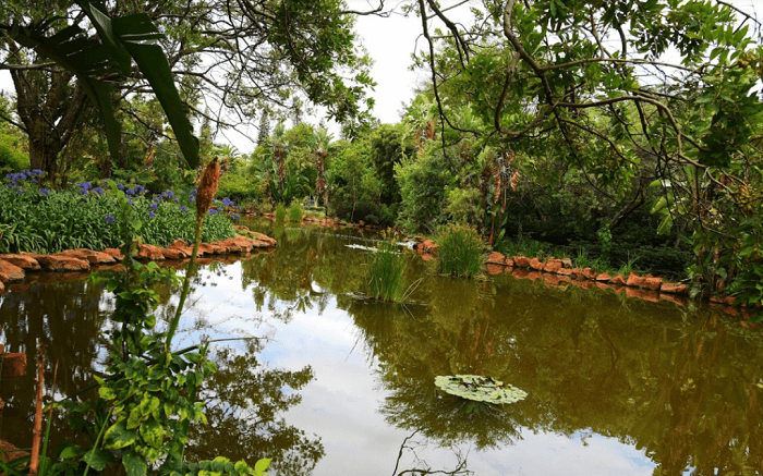 Have a picnic by the pond in Jan Cilliers Park